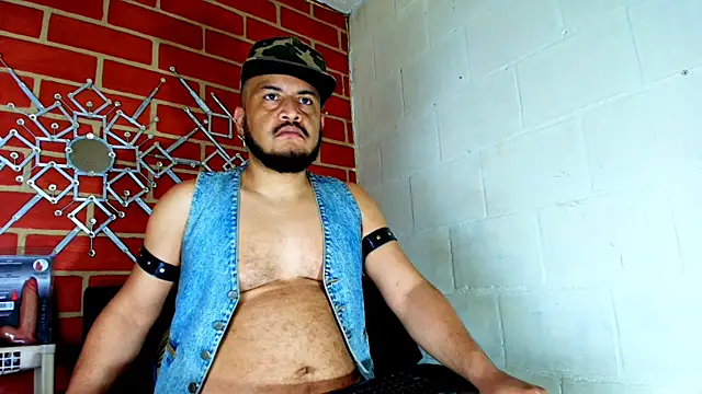 the master foal  online show from November 17, 2025, 5:52 pm