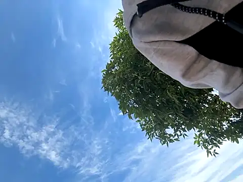 kingdennis6666 online show from September 17, 2025, 7:26 pm