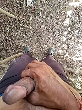 breejs online show from November 15, 2025, 6:55 am