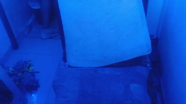 selenax2023 online show from February 2, 2026, 11:03 pm