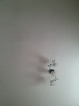 szaoonybyczek online show from November 17, 2025, 7:25 am