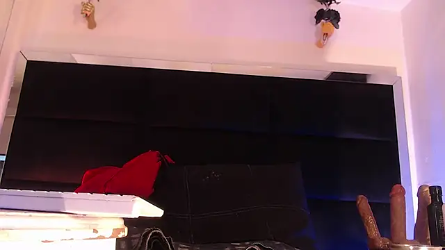 StefyFerrer online show from July 12, 2026, 3:41 am