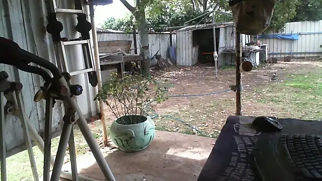 Snapshot of herbie010666 chatting on September 16, 2025, 3:29 am herbie010666 online show from September 16, 2025, 3:29 am