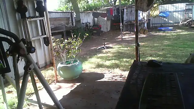Snapshot of herbie010666 chatting on May 3, 2026, 5:02 am herbie010666 online show from May 3, 2026, 5:02 am