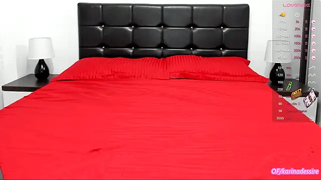 Snapshot of karinamadnessdesiree chatting on January 11, 2025, 1:11 pm karinamadnessdesiree online show from January 11, 2025, 1:11 pm