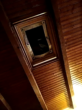 Snapshot of CurlyElisa chatting on February 26, 2026, 9:36 pm CurlyElisa online show from February 26, 2026, 9:36 pm