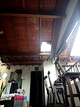 Bigassmommy x online show from December 17, 2025, 12:33 pm