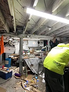 charactrzero online show from January 4, 2025, 5:47 pm