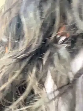 bea3liz online show from December 18, 2024, 5:52 pm