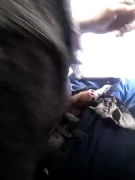 Snapshot of Wero4200 chatting on February 4, 2026, 10:36 pm Wero4200 online show from February 4, 2026, 10:36 pm