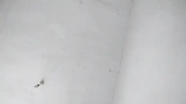 Snapshot of Jigolo_mustafa chatting on September 29, 2025, 11:37 am Jigolo mustafa online show from September 29, 2025, 11:37 am