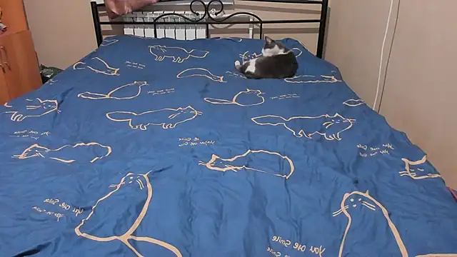 eva zero online show from December 17, 2025, 3:07 pm