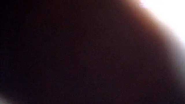 DevilZoone online show from June 1, 2026, 4:03 am