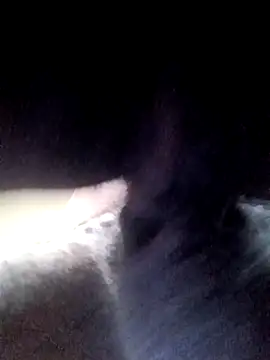 Snapshot of yellowwetfox chatting on March 21, 2026, 1:37 pm yellowwetfox online show from March 21, 2026, 1:37 pm