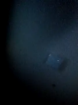 Snapshot of yellowwetfox chatting on March 29, 2026, 3:39 am yellowwetfox online show from March 29, 2026, 3:39 am