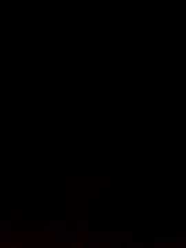 Snapshot of Like_african chatting on February 9, 2026, 4:33 pm Like african online show from February 9, 2026, 4:33 pm