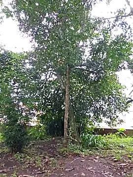 Yuky ta online show from February 23, 2025, 5:50 pm