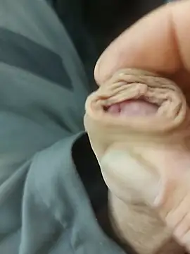 StarredAndrej online show from November 7, 2025, 2:28 pm