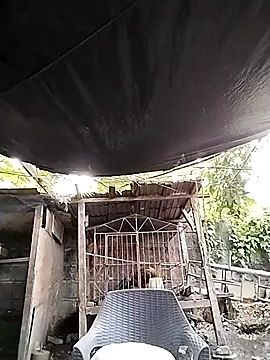 MS Isabella Snow92 online show from February 22, 2025, 10:42 pm