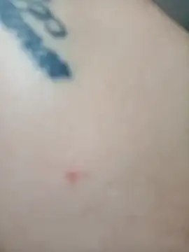 Snapshot of mia_anyeli chatting on February 3, 2025, 2:34 pm mia anyeli online show from February 3, 2025, 2:34 pm