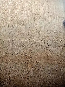 Snapshot of Petite_li chatting on February 3, 2026, 7:02 am Petite li online show from February 3, 2026, 7:02 am