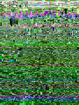 Snapshot of Wolfeman74 chatting on July 11, 2026, 6:54 pm Wolfeman74 online show from July 11, 2026, 6:54 pm