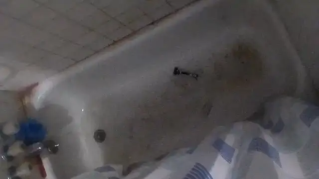 HentaiXSenpai online show from June 23, 2026, 8:56 am