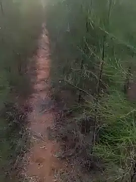 Gopal1243 online show from March 1, 2025, 1:22 am