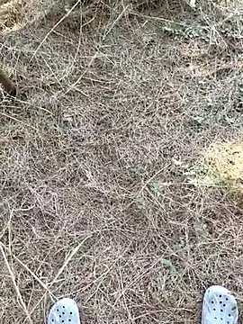 Gopal1243 online show from January 9, 2026, 7:55 am