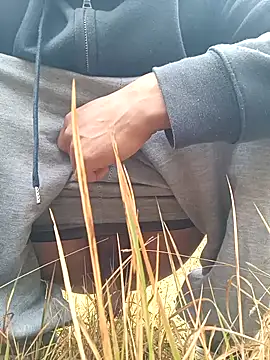 Desi Rider Aadi online show from December 29, 2024, 2:49 am