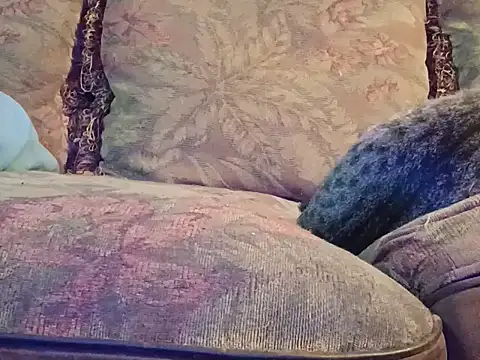 highstepper500 online show from December 2, 2025, 7:47 am