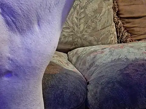 highstepper500 online show from February 20, 2026, 10:49 am