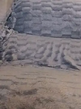 LoGaNfree88 online show from April 13, 2026, 1:11 am