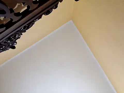 Snapshot of White_rabbit_ chatting on October 29, 2025, 10:00 pm White rabbit online show from October 29, 2025, 10:00 pm