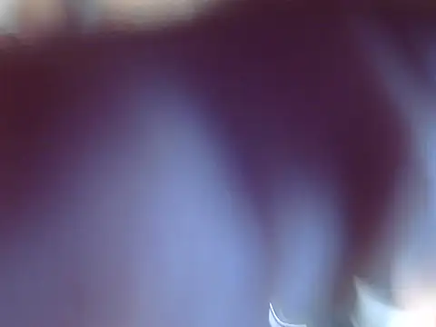 Snapshot of OSIRlS chatting on December 12, 2024, 9:37 pm OSIRlS online show from December 12, 2024, 9:37 pm