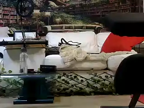 Snapshot of OSIRlS chatting on January 6, 2025, 1:30 pm OSIRlS online show from January 6, 2025, 1:30 pm