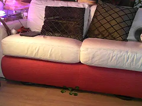 Snapshot of OSIRlS chatting on March 2, 2025, 12:43 pm OSIRlS online show from March 2, 2025, 12:43 pm