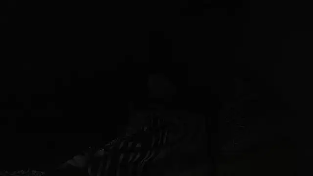 Snapshot of BELINDAXXXXX chatting on December 13, 2024, 8:04 pm BELINDAXXXXX online show from December 13, 2024, 8:04 pm