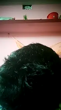 Driver-naru online show from February 7, 2025, 8:31 pm