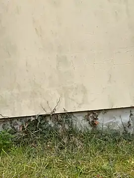 Snapshot of TalullaX chatting on March 19, 2025, 2:46 pm TalullaX online show from March 19, 2025, 2:46 pm