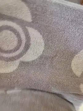 cuminpussyalot online show from March 8, 2026, 1:26 pm