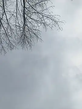 Iceblanca online show from March 19, 2025, 9:58 pm