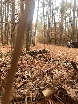 Themechanic420 online show from December 14, 2024, 7:14 pm