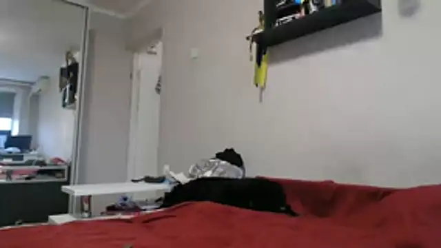 delightful sofi online show from November 11, 2025, 12:27 pm