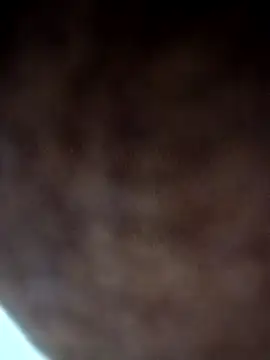 Lent Medium online show from November 12, 2025, 5:46 pm