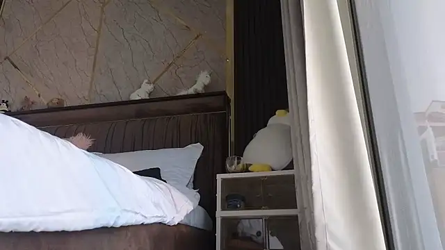 Snapshot of Allys chatting on February 19, 2025, 7:50 am Allys online show from February 19, 2025, 7:50 am