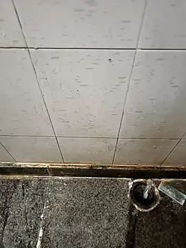 Mallupaiyanaachu online show from January 21, 2025, 1:54 pm