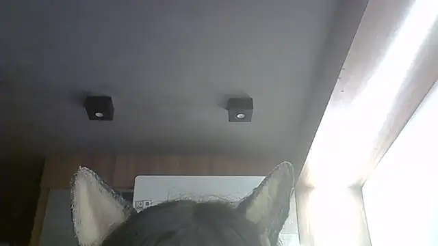 Skinny-Kitten online show from March 9, 2026, 3:43 am