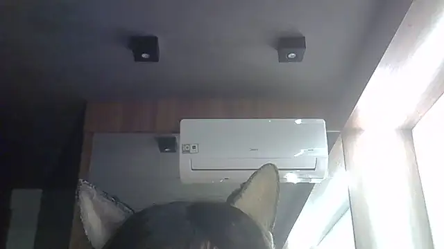 Snapshot of Skinny-Kitten chatting on June 2, 2026, 3:52 am Skinny-Kitten online show from June 2, 2026, 3:52 am