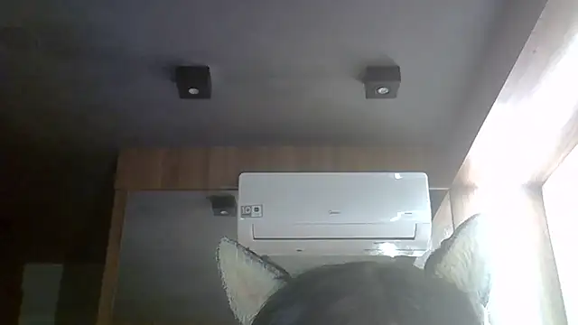 Snapshot of Skinny-Kitten chatting on June 15, 2026, 8:38 am Skinny-Kitten online show from June 15, 2026, 8:38 am